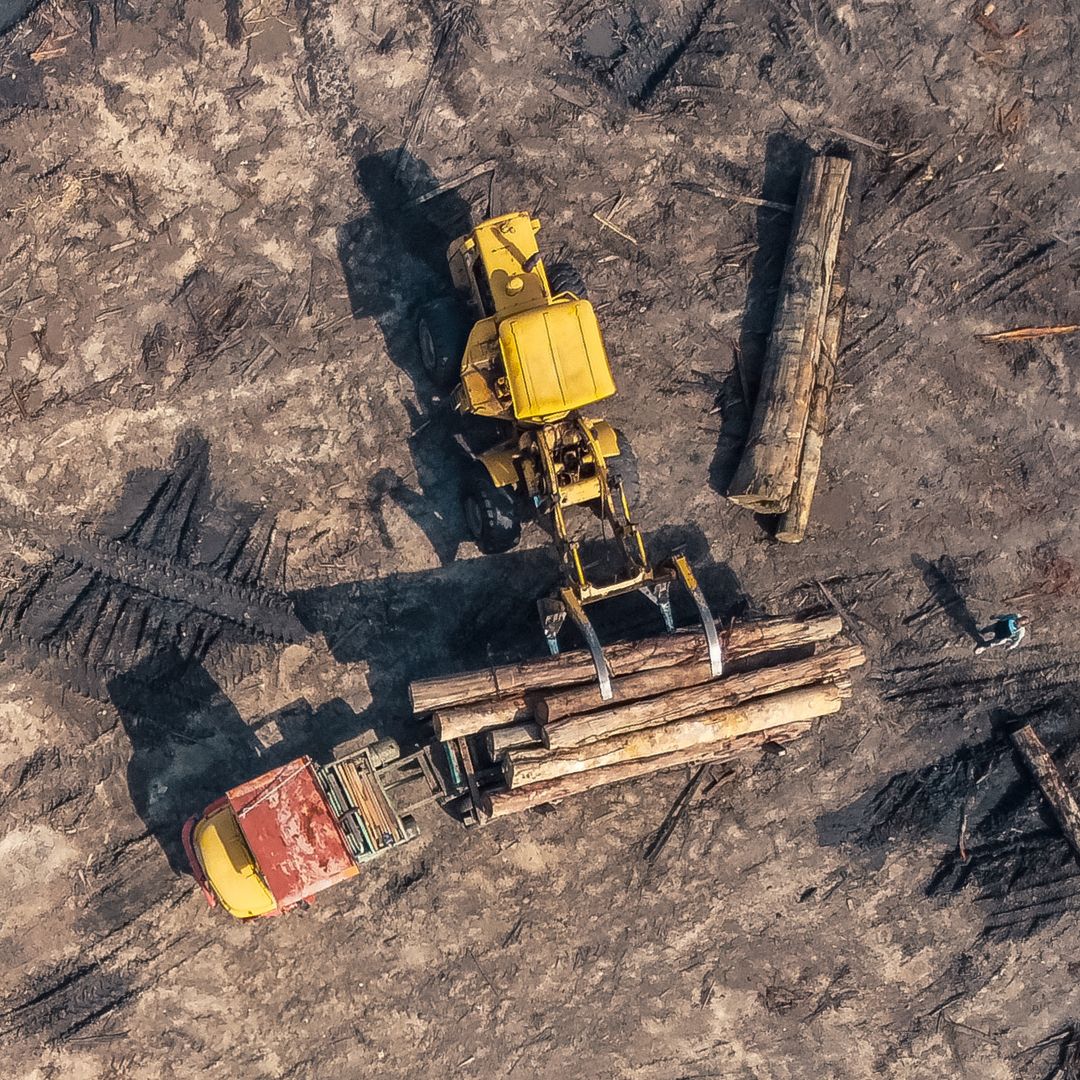 logging equipment loading up trailer, aerial view